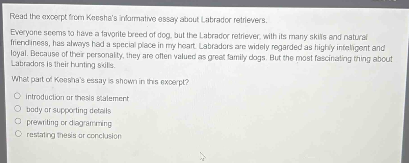 read the excerpt from keeshas informative essay about labrador retrievers. everyone seems to have a favorite breed of dog, but the labrador retriever, with its many skills and natural friendliness, has always had a special place in my heart. labradors are widely regarded as highly intelligent and loyal. because of their personality, they are often valued as great family dogs. but the most fascinating thing about labradors is their hunting skills. what part of keeshas essay is shown in this excerpt? introduction or thesis statement body or supporting details prewriting or diagramming restating thesis or conclusion