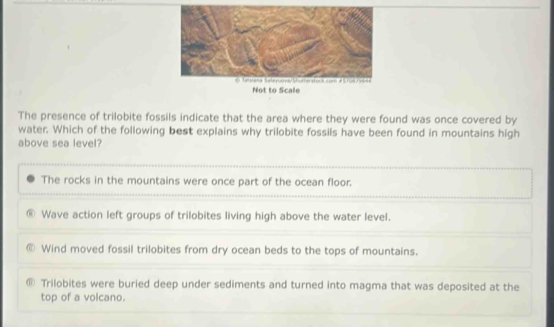 the presence of trilobite fossils indicate that the area where they were found was once covered by water. which of the following best explains why trilobite fossils have been found in mountains high above sea level? the rocks in the mountains were once part of the ocean floor. wave action left groups of trilobites living high above the water level. wind moved fossil trilobites from dry ocean beds to the tops of mountains. trilobites were buried deep under sediments and turned into magma that was deposited at the top of a volcano.