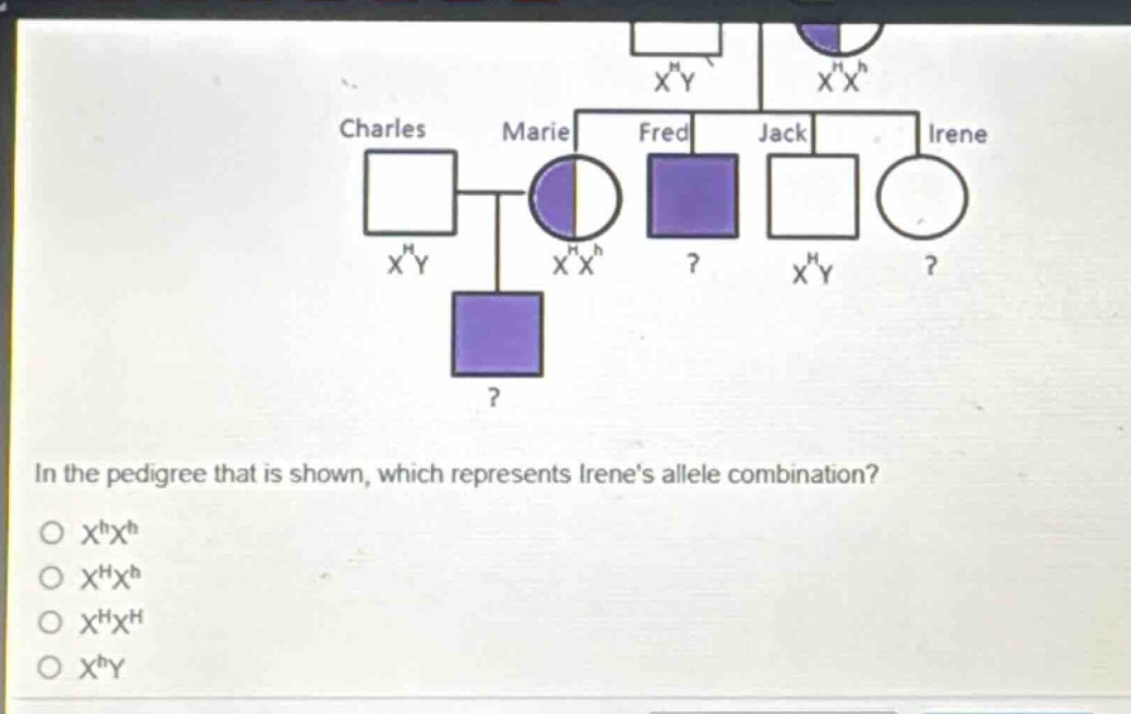 in the pedigree that is shown, which represents irenes allele combination?\no $x^{h}x^{h}$\no $x^{h}x^{h}$\no $x^{h}x^{h}$\no $x^{h}y$