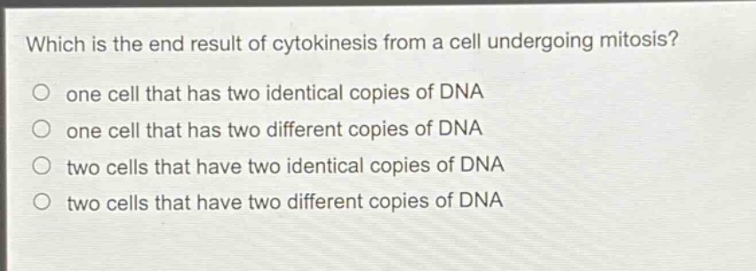 which is the end result of cytokinesis from a cell undergoing mitosis?\no one cell that has two identical copies of dna\no one cell that has two different copies of dna\no two cells that have two identical copies of dna\no two cells that have two different copies of dna
