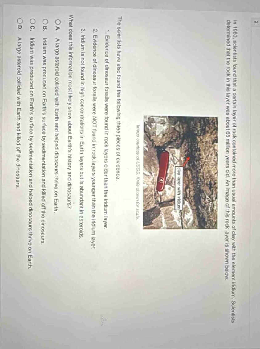 in 1980, scientists found that a certain layer of rock contained more than usual amounts of clay with the element iridium. scientists determined that the rock in this layer was about 65 million years old. an image of this rock layer is shown below. the scientists have also found the following three pieces of evidence. 1. evidence of dinosaur fossils were found in rock layers older than the iridium layer. 2. evidence of dinosaur fossils were not found in rock layers younger than the iridium layer. 3. iridium is not found in high concentrations in earth layers but is abundant in asteroids. what does this information most likely show about earths history and dinosaurs? a. a large asteroid collided with earth and helped dinosaurs thrive on earth. b. iridium was produced on earths surface by sedimentation and killed off the dinosaurs. c. iridium was produced on earths surface by sedimentation and helped dinosaurs thrive on earth. d. a large asteroid collided with earth and killed off the dinosaurs.