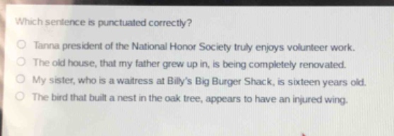 which sentence is punctuated correctly?\ntanna president of the national honor society truly enjoys volunteer work.\nthe old house, that my father grew up in, is being completely renovated.\nmy sister, who is a waitress at billys big burger shack, is sixteen years old.\nthe bird that built a nest in the oak tree, appears to have an injured wing.
