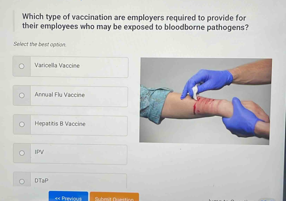 which type of vaccination are employers required to provide for their employees who may be exposed to bloodborne pathogens? select the best option. varicella vaccine annual flu vaccine hepatitis b vaccine ipv dtap