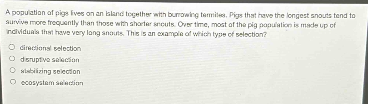 a population of pigs lives on an island together with burrowing termites. pigs that have the longest snouts tend to survive more frequently than those with shorter snouts. over time, most of the pig population is made up of individuals that have very long snouts. this is an example of which type of selection?\n○ directional selection\n○ disruptive selection\n○ stabilizing selection\n○ ecosystem selection