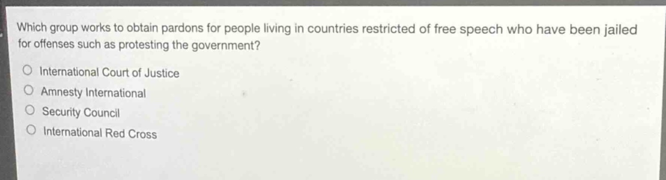 which group works to obtain pardons for people living in countries restricted of free speech who have been jailed for offenses such as protesting the government?\ninternational court of justice\namnesty international\nsecurity council\ninternational red cross
