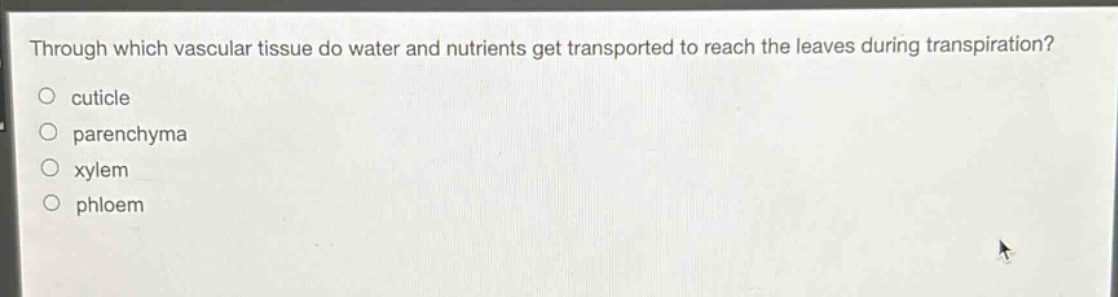 through which vascular tissue do water and nutrients get transported to reach the leaves during transpiration?\ncuticle\nparenchyma\nxylem\nphloem