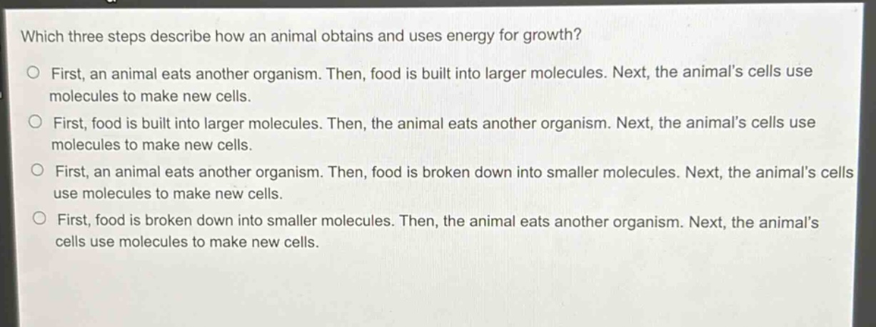 which three steps describe how an animal obtains and uses energy for growth?\nfirst, an animal eats another organism. then, food is built into larger molecules. next, the animals cells use molecules to make new cells.\nfirst, food is built into larger molecules. then, the animal eats another organism. next, the animals cells use molecules to make new cells.\nfirst, an animal eats another organism. then, food is broken down into smaller molecules. next, the animals cells use molecules to make new cells.\nfirst, food is broken down into smaller molecules. then, the animal eats another organism. next, the animals cells use molecules to make new cells.