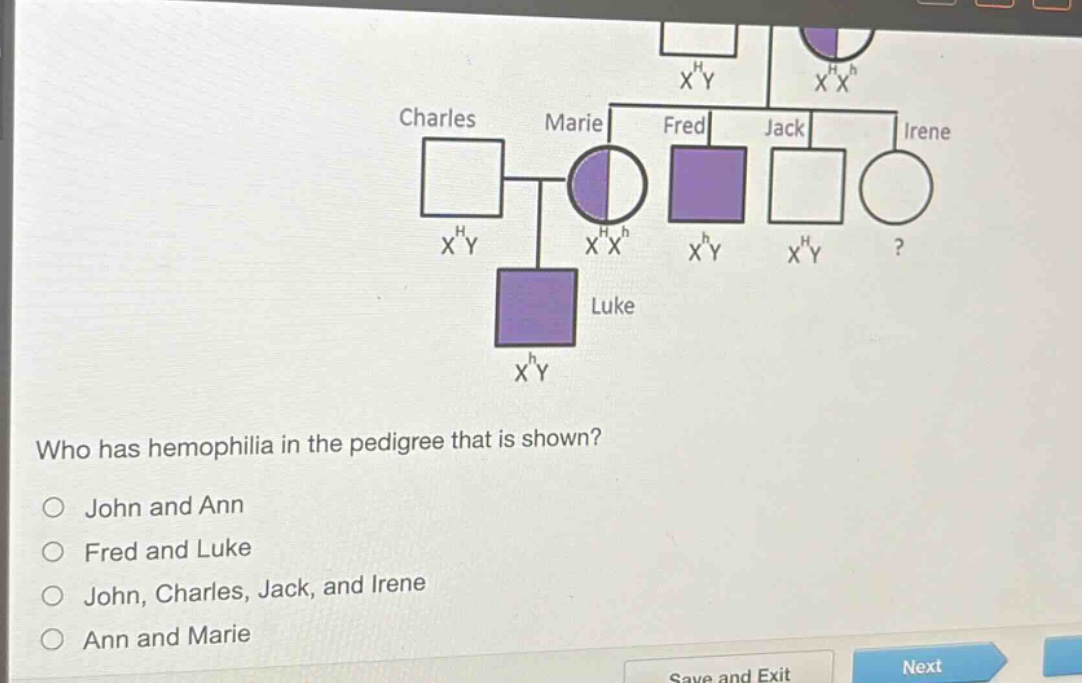who has hemophilia in the pedigree that is shown?\njohn and ann\nfred and luke\njohn, charles, jack, and irene\nann and marie