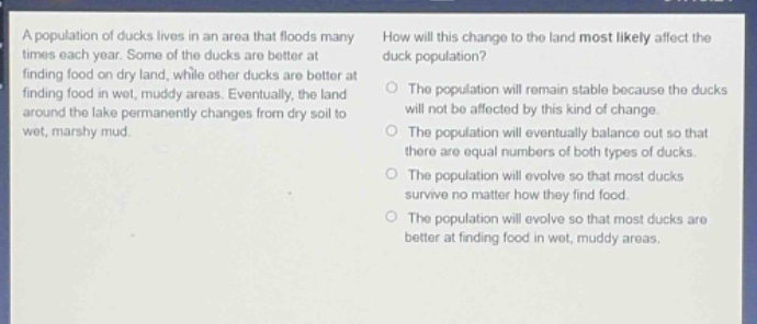 a population of ducks lives in an area that floods many times each year. some of the ducks are better at finding food on dry land, while other ducks are better at finding food in wet, muddy areas. eventually, the land around the lake permanently changes from dry soil to wet, marshy mud. how will this change to the land most likely affect the duck population? the population will remain stable because the ducks will not be affected by this kind of change. the population will eventually balance out so that there are equal numbers of both types of ducks. the population will evolve so that most ducks survive no matter how they find food. the population will evolve so that most ducks are better at finding food in wet, muddy areas.