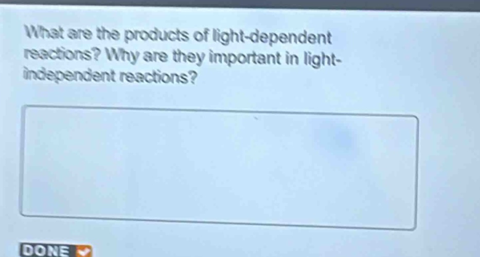 what are the products of light - dependent reactions? why are they important in light - independent reactions?