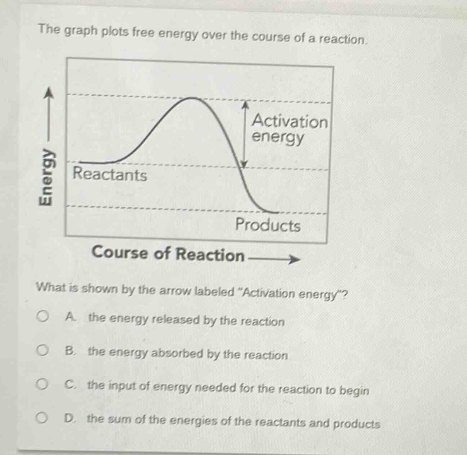 the graph plots free energy over the course of a reaction.\nwhat is shown by the arrow labeled \activation energy\?\na. the energy released by the reaction\nb. the energy absorbed by the reaction\nc. the input of energy needed for the reaction to begin\nd. the sum of the energies of the reactants and products