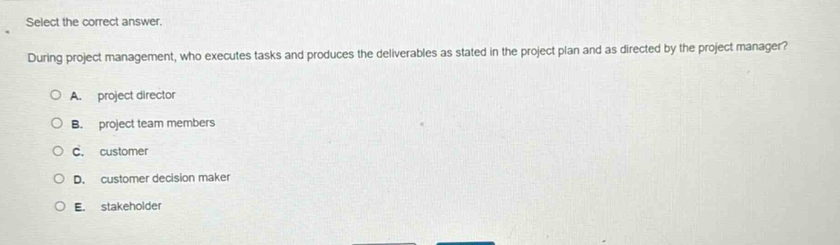 select the correct answer. during project management, who executes tasks and produces the deliverables as stated in the project plan and as directed by the project manager? a. project director b. project team members c. customer d. customer decision maker e. stakeholder