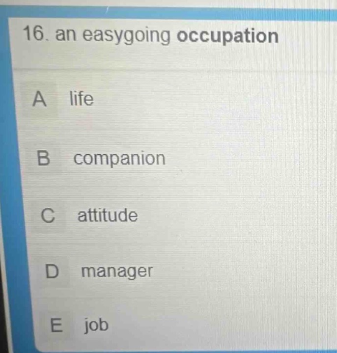 16. an easygoing occupation\na life\nb companion\nc attitude\nd manager\ne job
