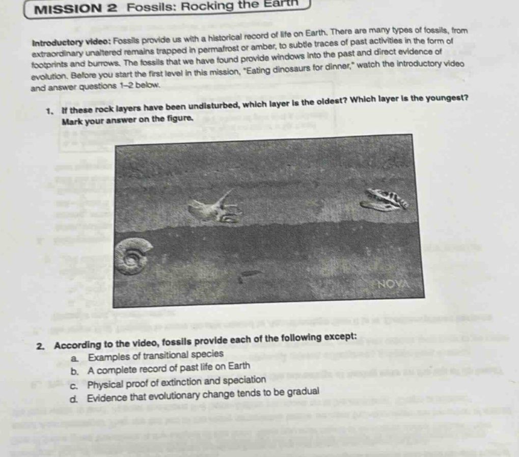 mission 2 fossils: rocking the earth\nintroductory video: fossils provide us with a historical record of life on earth. there are many types of fossils, from extraordinary unaltered remains trapped in permafrost or amber, to subtle traces of past activities in the form of footprints and burrows. the fossils that we have found provide windows into the past and direct evidence of evolution. before you start the first level in this mission, \eating dinosaurs for dinner,\ watch the introductory video and answer questions 1 - 2 below.\n1. if these rock layers have been undisturbed, which layer is the oldest? which layer is the youngest? mark your answer on the figure.\n2. according to the video, fossils provide each of the following except:\na. examples of transitional species\nb. a complete record of past life on earth\nc. physical proof of extinction and speciation\nd. evidence that evolutionary change tends to be gradual