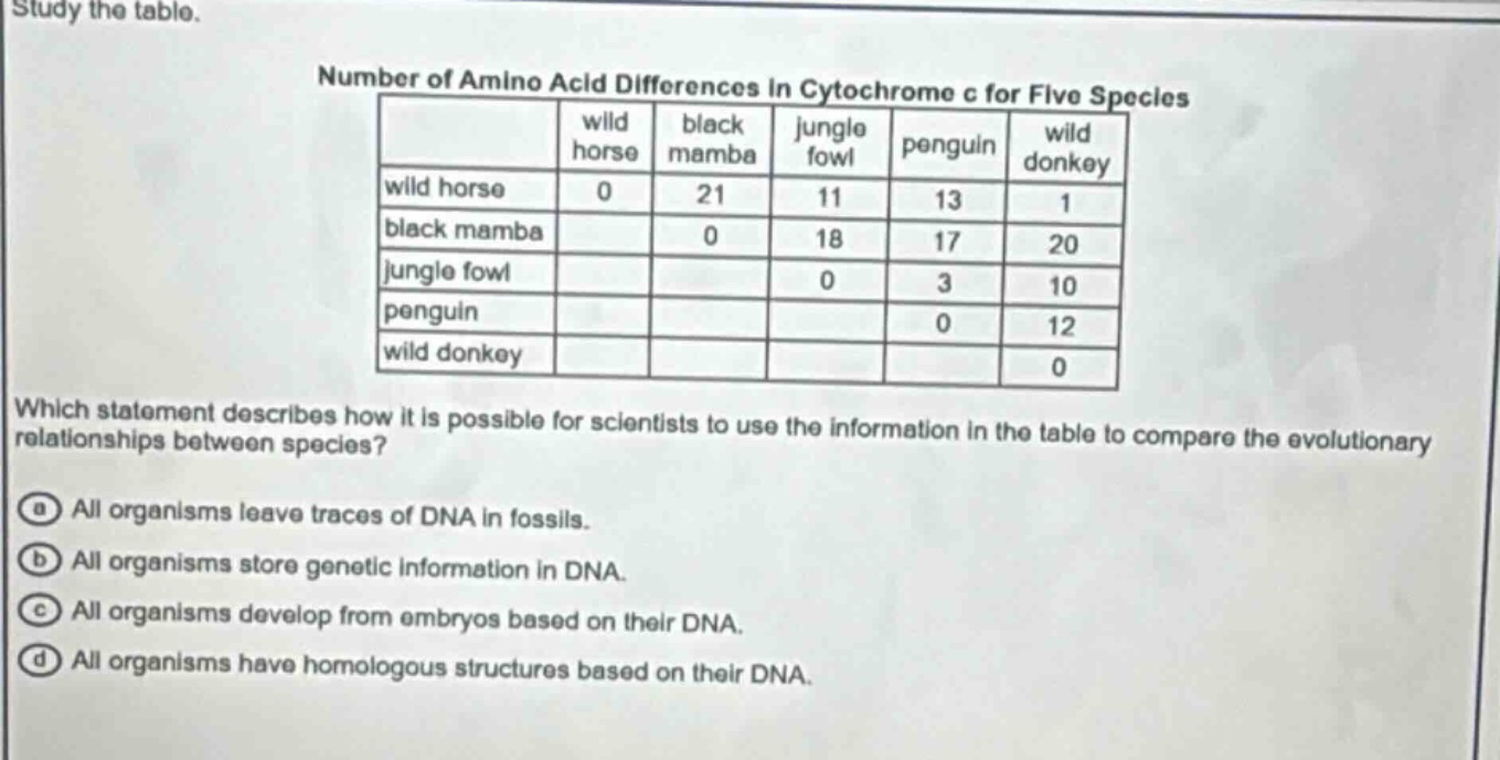 study the table.\nnumber of amino acid differences in cytochrome c for five species\n| | wild horse | black mamba | jungle fowl | penguin | wild donkey |\n|--|--|--|--|--|--|\n| wild horse | 0 | 21 | 11 | 13 | 1 |\n| black mamba | | 0 | 18 | 17 | 20 |\n| jungle fowl | | | 0 | 3 | 10 |\n| penguin | | | | 0 | 12 |\n| wild donkey | | | | | 0 |\nwhich statement describes how it is possible for scientists to use the information in the table to compare the evolutionary relationships between species?\n(a) all organisms leave traces of dna in fossils.\n(b) all organisms store genetic information in dna.\n(c) all organisms develop from embryos based on their dna.\n(d) all organisms have homologous structures based on their dna.