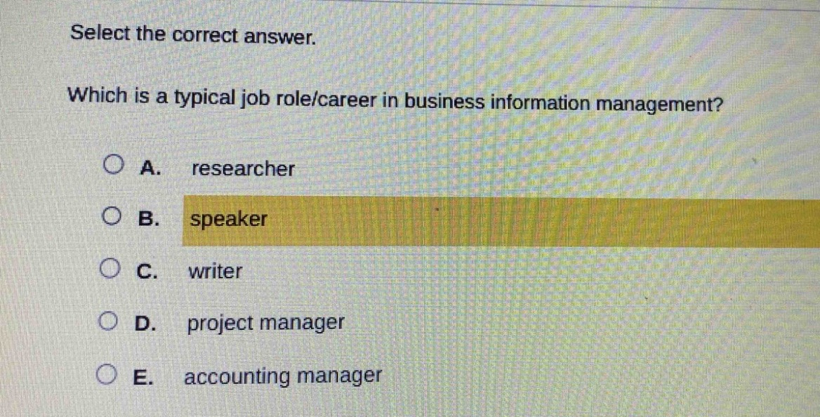 select the correct answer. which is a typical job role/career in business information management? a. researcher b. speaker c. writer d. project manager e. accounting manager