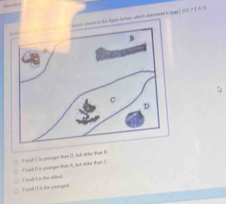 according to the rock - fossil layers shown in the figure below, which statement is true? (sc.7.e.6.3)\nfossil c is younger than d, but older than b.\nfossil b is younger than a, but older than c.\nfossil a is the oldest.\nfossil d is the youngest.