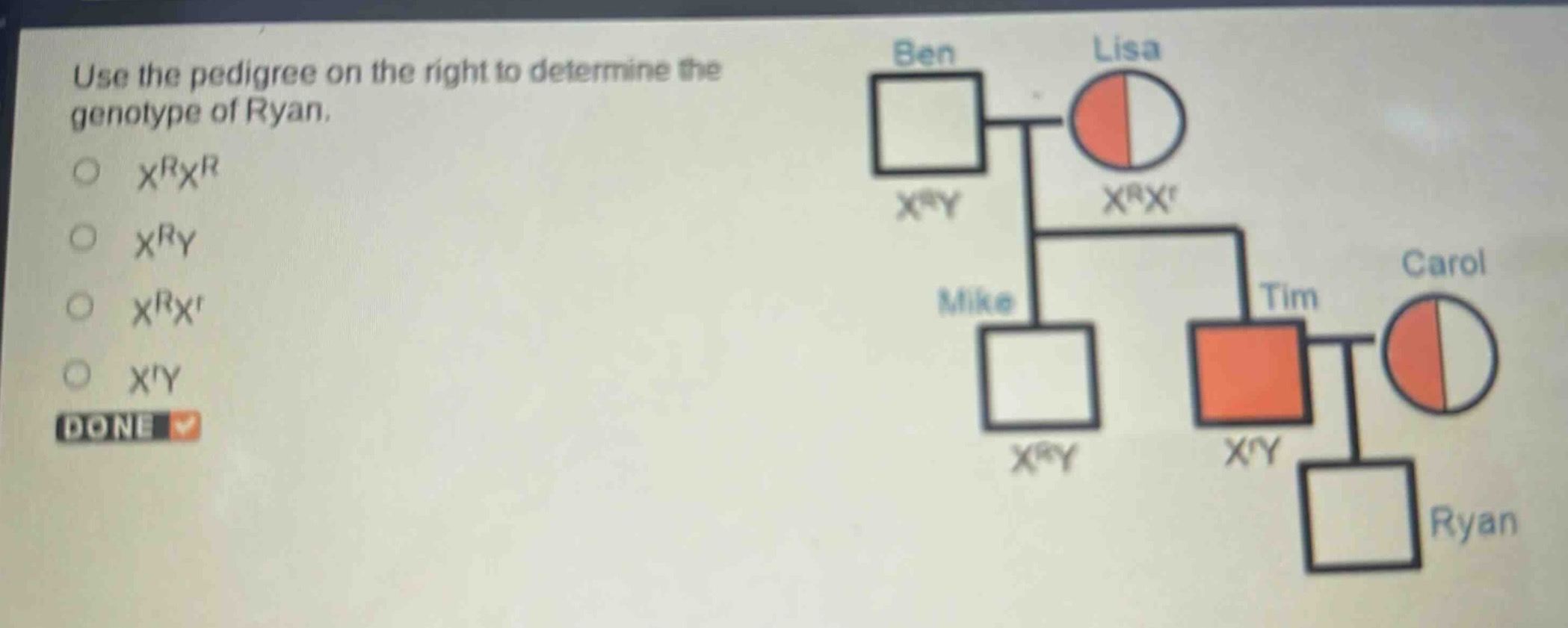 use the pedigree on the right to determine the genotype of ryan.\n○ $x^{r}x^{r}$\n○ $x^{r}y$\n○ $x^{r}x^{r}$\n○ $x^{r}y$\ndone