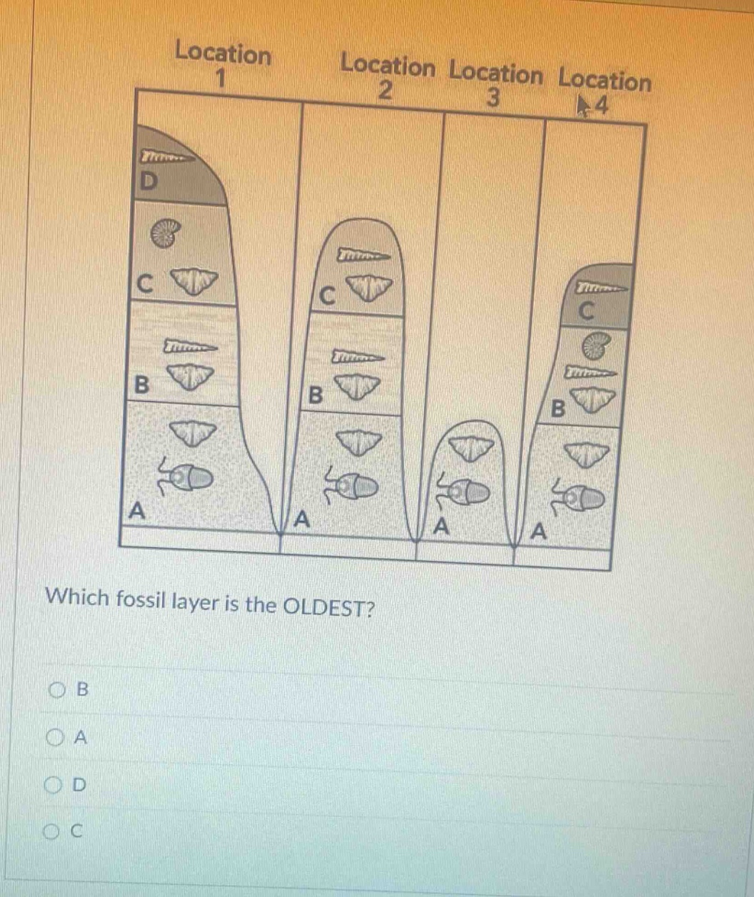 location 1 location 2 location 3 location 4 which fossil layer is the oldest? b a d c