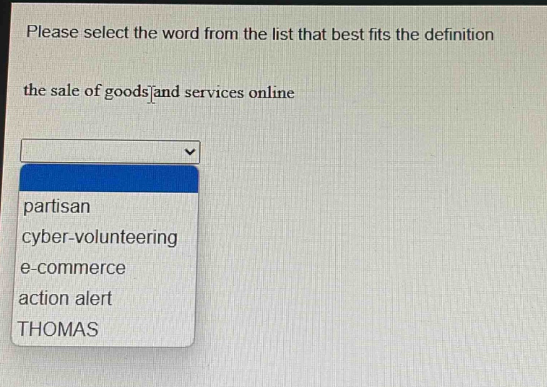please select the word from the list that best fits the definition\nthe sale of goods and services online\npartisan\ncyber - volunteering\ne - commerce\naction alert\nthomas