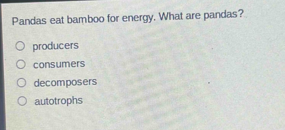 pandas eat bamboo for energy. what are pandas?\no producers\no consumers\no decomposers\no autotrophs