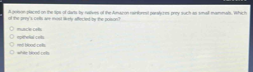 a poison placed on the tips of darts by natives of the amazon rainforest paralyzes prey such as small mammals. which of the preys cells are most likely affected by the poison?\no muscle cells\no epithelial cells\no red blood cells\no white blood cells