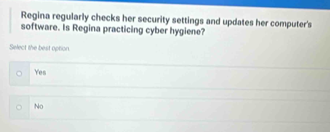 regina regularly checks her security settings and updates her computers software. is regina practicing cyber hygiene? select the best option. yes no