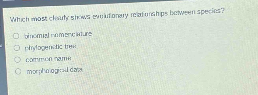 which most clearly shows evolutionary relationships between species?\n○ binomial nomenclature\n○ phylogenetic tree\n○ common name\n○ morphological data