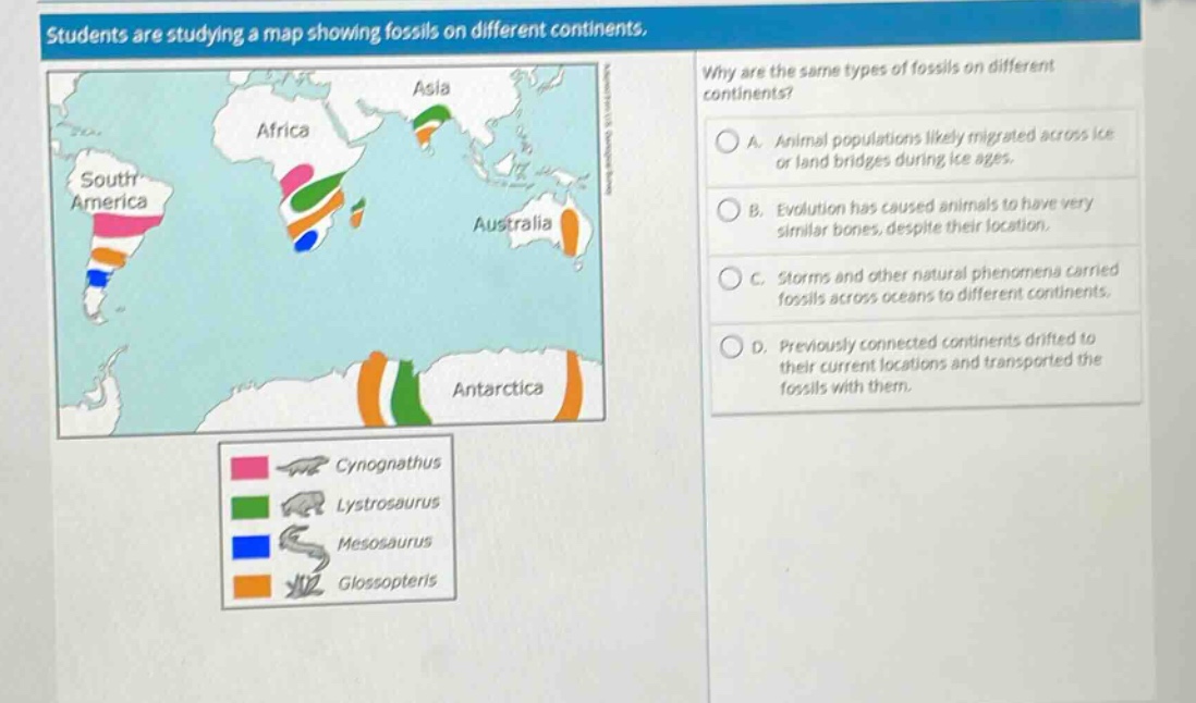 students are studying a map showing fossils on different continents. why are the same types of fossils on different continents? a. animal populations likely migrated across ice or land - bridges during ice ages. b. evolution has caused animals to have very similar bones, despite their location. c. storms and other natural phenomena carried fossils across oceans to different continents. d. previously connected continents drifted to their current locations and transported the fossils with them. cynognathus lystrosaurus mesosaurus glossopteris