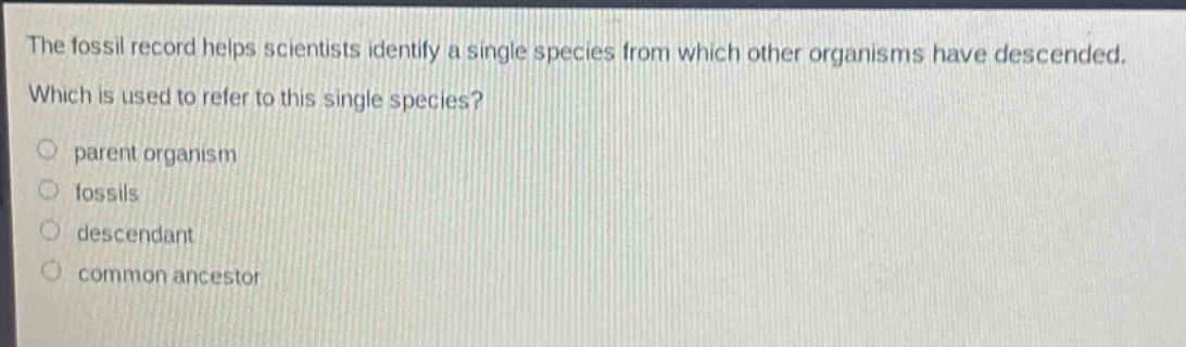 the fossil record helps scientists identify a single species from which other organisms have descended. which is used to refer to this single species?\nparent organism\nfossils\ndescendant\ncommon ancestor