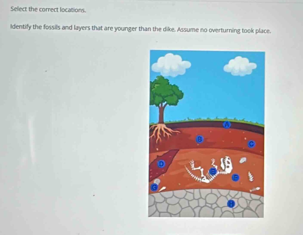 select the correct locations. identify the fossils and layers that are younger than the dike. assume no overturning took place.