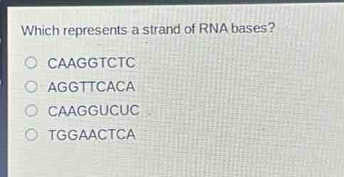 which represents a strand of rna bases?\ncaaggtctc\naggttaca\ncaaggucuc\ntggaaactca