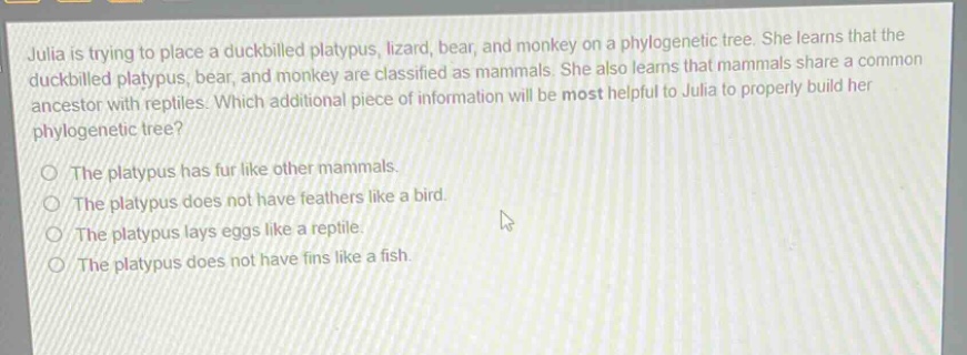 julia is trying to place a duckbilled platypus, lizard, bear, and monkey on a phylogenetic tree. she learns that the duckbilled platypus, bear, and monkey are classified as mammals. she also learns that mammals share a common ancestor with reptiles. which additional piece of information will be most helpful to julia to properly build her phylogenetic tree?\no the platypus has fur like other mammals.\no the platypus does not have feathers like a bird.\no the platypus lays eggs like a reptile.\no the platypus does not have fins like a fish.