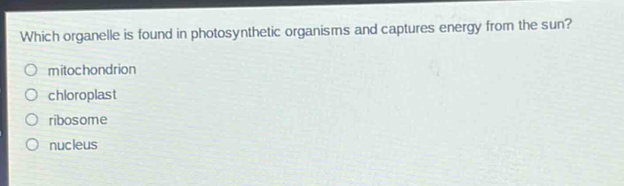 which organelle is found in photosynthetic organisms and captures energy from the sun?\nmitochondrion\nchloroplast\nribosome\nnucleus