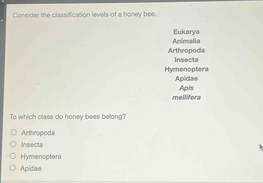 consider the classification levels of a honey bee.\neukarya\nanimalia\narthropoda\ninsecta\nhymenoptera\napidae\napis\nmellifera\nto which class do honey bees belong?\no arthropoda\no insecta\no hymenoptera\no apidae