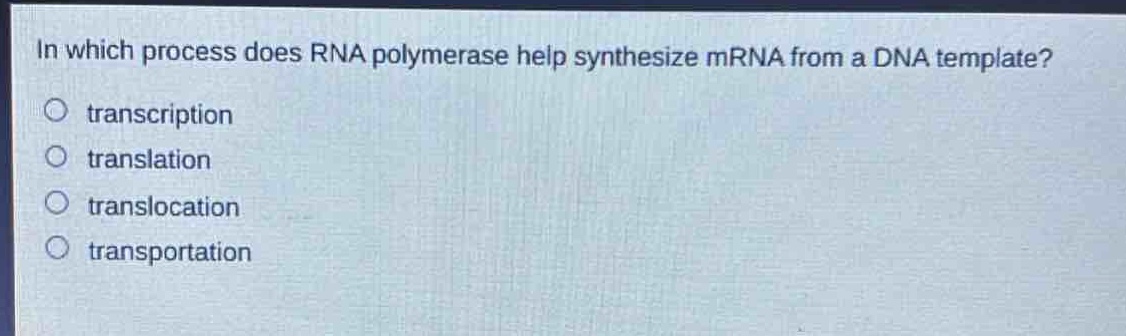 in which process does rna polymerase help synthesize mrna from a dna template?\no transcription\no translation\no translocation\no transportation