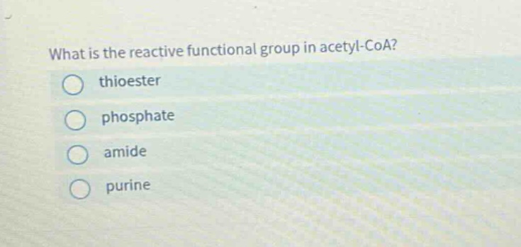 what is the reactive functional group in acetyl - coa?\nthioester\nphosphate\namide\npurine