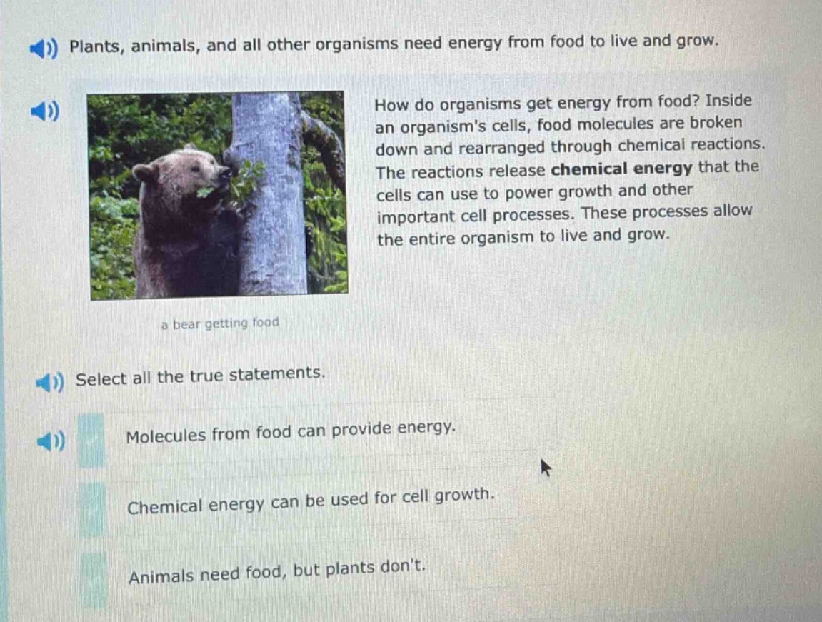 plants, animals, and all other organisms need energy from food to live and grow. how do organisms get energy from food? inside an organisms cells, food molecules are broken down and rearranged through chemical reactions. the reactions release chemical energy that the cells can use to power growth and other important cell processes. these processes allow the entire organism to live and grow. a bear getting food select all the true statements. molecules from food can provide energy. chemical energy can be used for cell growth. animals need food, but plants dont.