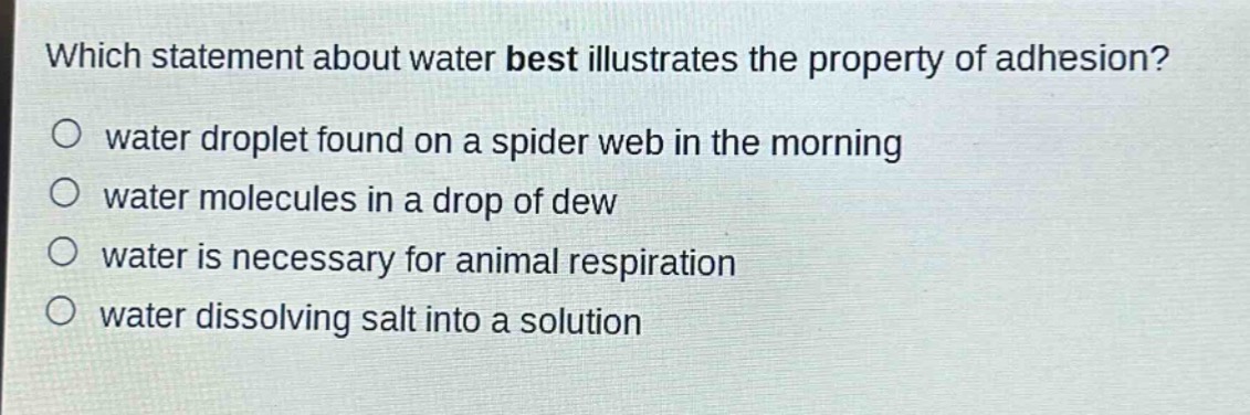 which statement about water best illustrates the property of adhesion?\no water droplet found on a spider web in the morning\no water molecules in a drop of dew\no water is necessary for animal respiration\no water dissolving salt into a solution