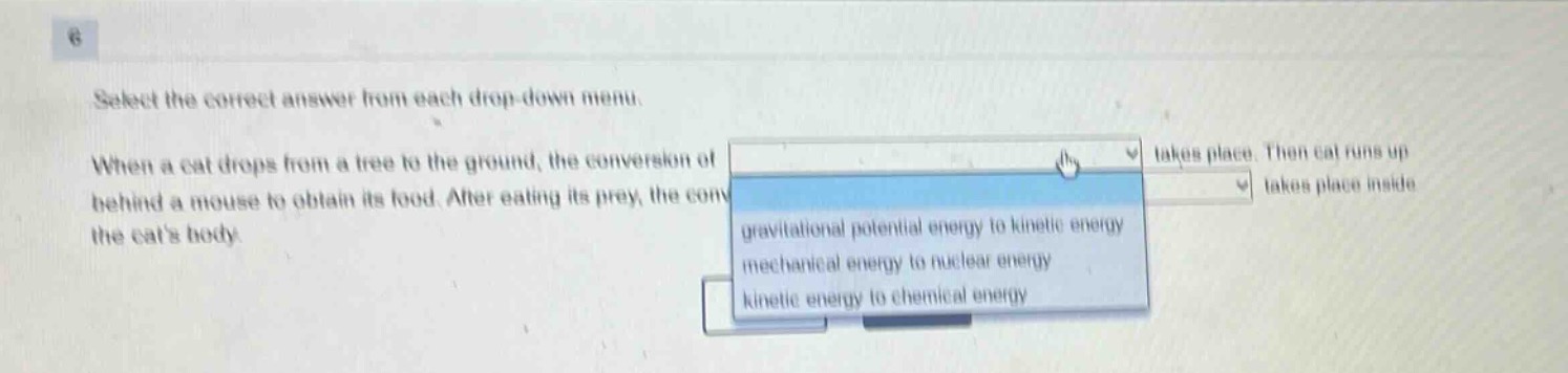 select the correct answer from each drop - down menu. when a cat drops from a tree to the ground, the conversion of takes place. then cat runs up behind a mouse to obtain its food. after eating its prey, the conv takes place inside the cats body. gravitational potential energy to kinetic energy mechanical energy to nuclear energy kinetic energy to chemical energy