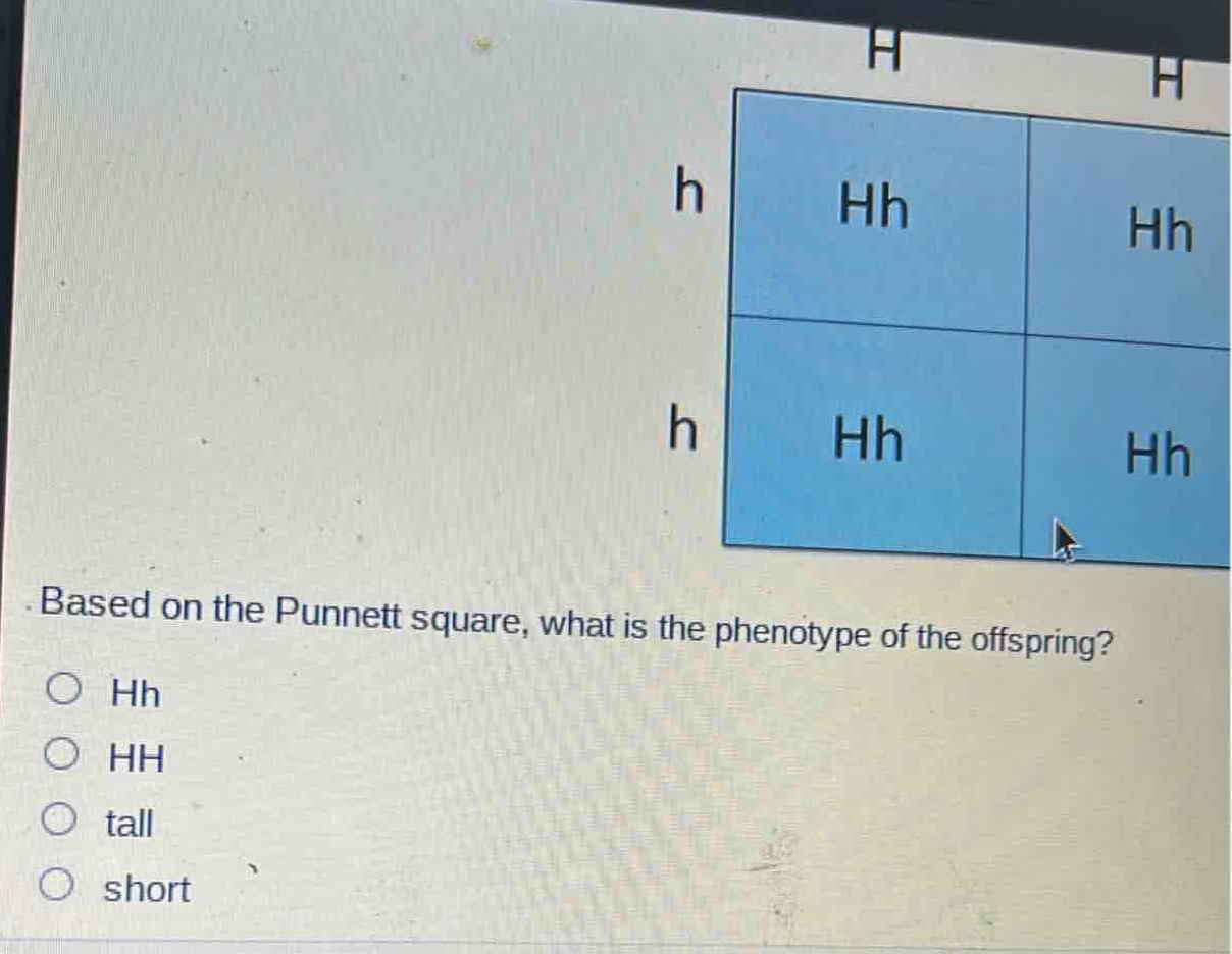 based on the punnett square, what is the phenotype of the offspring?\n○ hh\n○ hh\n○ tall\n○ short