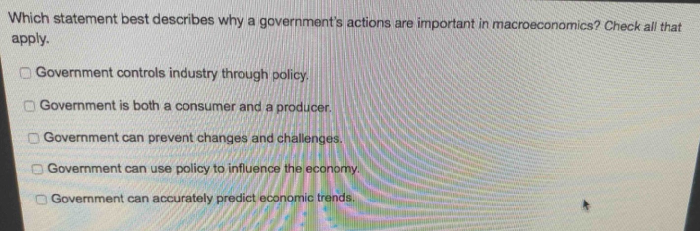 which statement best describes why a governments actions are important in macroeconomics? check all that apply.\ngovernment controls industry through policy.\ngovernment is both a consumer and a producer.\ngovernment can prevent changes and challenges.\ngovernment can use policy to influence the economy.\ngovernment can accurately predict economic trends.