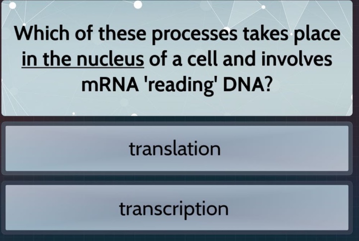 which of these processes takes place in the nucleus of a cell and involves mrnareading dna?\ntranslation\ntranscription