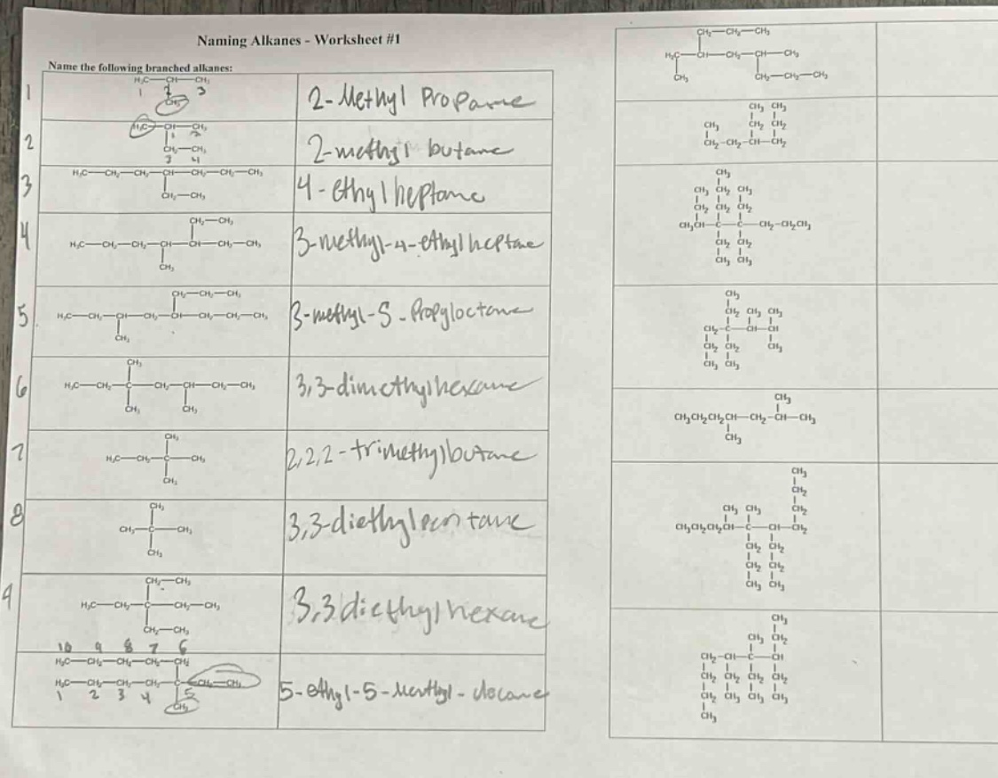 naming alkanes - worksheet #1\nname the following branched alkanes:
