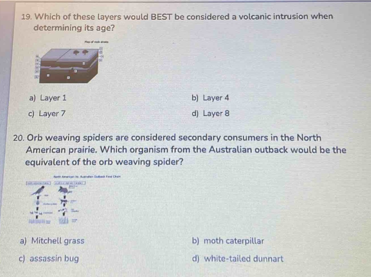 19. which of these layers would best be considered a volcanic intrusion when determining its age? a) layer 1 b) layer 4 c) layer 7 d) layer 8 20. orb weaving spiders are considered secondary consumers in the north american prairie. which organism from the australian outback would be the equivalent of the orb weaving spider? a) mitchell grass b) moth caterpillar c) assassin bug d) white - tailed dunnart