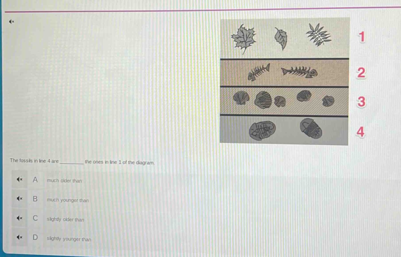 the fossils in line 4 are ________ the ones in line 1 of the diagram.\na much older than\nb much younger than\nc slightly older than\nd slightly younger than