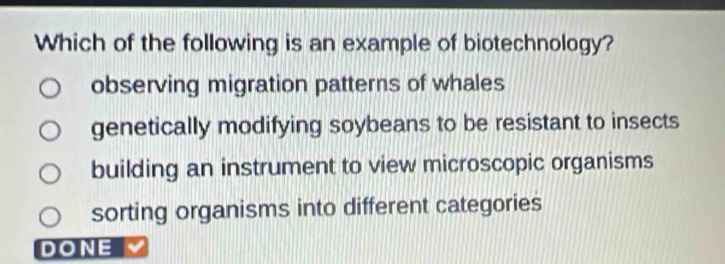 which of the following is an example of biotechnology?\nobserving migration patterns of whales\ngenetically modifying soybeans to be resistant to insects\nbuilding an instrument to view microscopic organisms\nsorting organisms into different categories