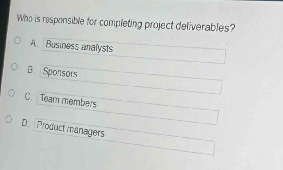who is responsible for completing project deliverables?\na. business analysts\nb. sponsors\nc. team members\nd. product managers