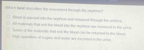 which best describes the movement through the nephron?\nblood is passed into the nephron and removed through the urethra.\nall materials that exit the blood into the nephron are removed in the urine.\nsome of the materials that exit the blood can be returned to the blood.\nhigh quantities of sugars and water are excreted in the urine.