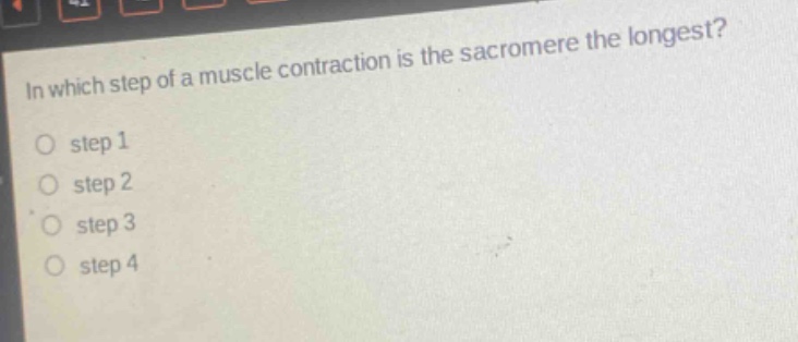 in which step of a muscle contraction is the sacromere the longest?\no step 1\no step 2\no step 3\no step 4